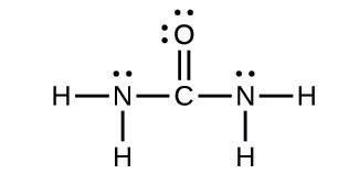 Draw the lewis structure for urea, h2nconh2, the compound primarily responsible for the smell of uri