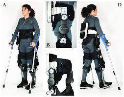 Which of the below is not a function of the exoskeleton?
