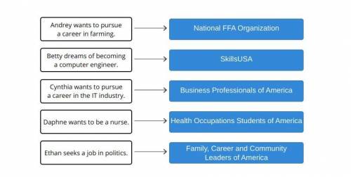 Match each career path with the ctso that can  further the goals for that path. tiles skillsusa busi