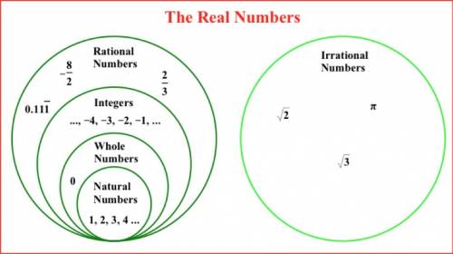 Is the following number rational or irrational?  negative 501 over negative 502