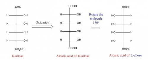 A. the aldaric acid of d-allose is the same as the aldaric acid of which sugar?