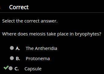 Where does meiosis take place in bryophytes