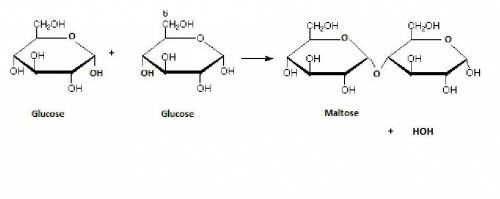 Glucose, one type of monosaccharide, is represented by the chemical formula, c6h12o6. if you were to
