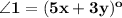 \mathbf{\angle 1 = (5x + 3y)^o}