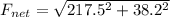 F_{net} = \sqrt{217.5^2 + 38.2^2}