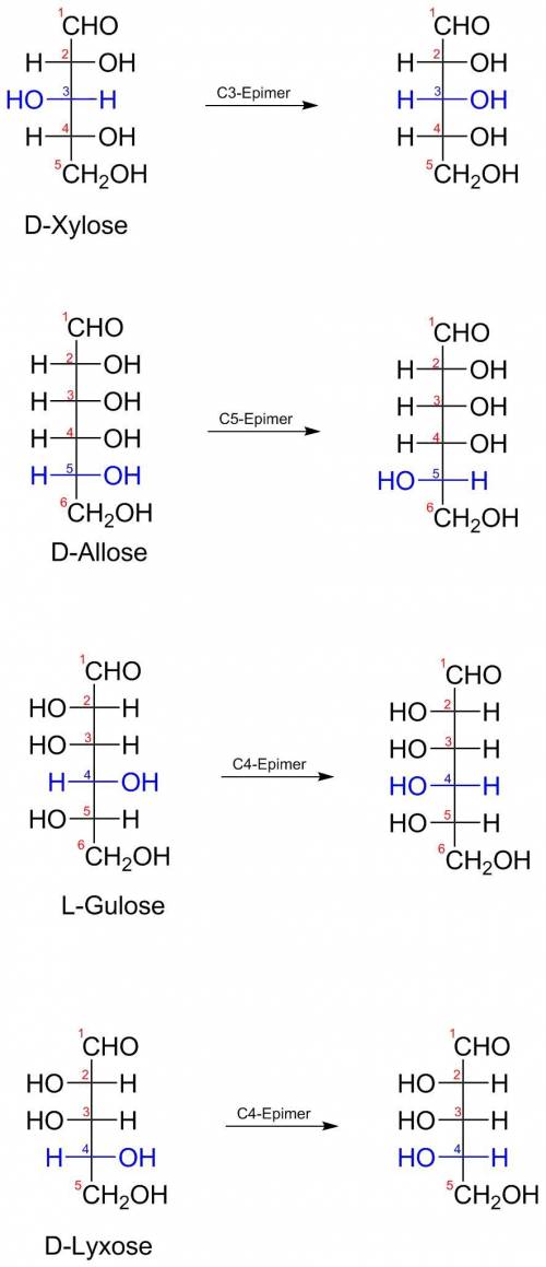 What sugar is the c-3 epimer of d-xylose?  b. what sugar is the c-5 epimer of d-allose?  c. what sug