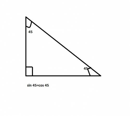 Identify the triangle that contains an acute angle for which the sine and cosine ratios are equal.