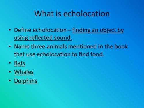 Which statement best describes echolocation in bats?