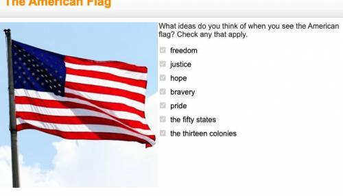 What ideas do you think of when you see the american flag?  check any that apply.