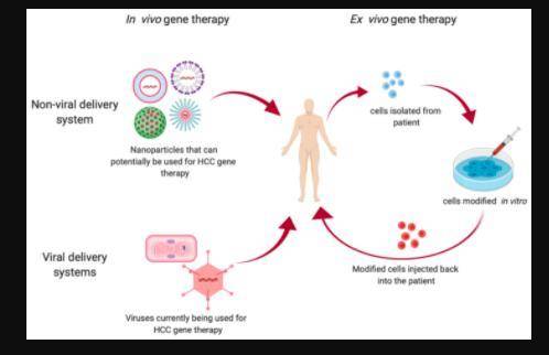 Gene therapy can be used to introduce foreign dna into cells