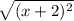 \sqrt{(x+2)^2}