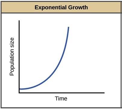 What type of graph curb symbolizes exponential growth?