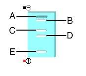 This is an animation of gel electrophoresis. which of these dna molecules is the shortest?