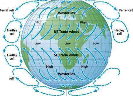 The model shows global air circulation. identify the wind directions that are correct
