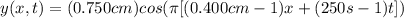 y(x,t)= (0.750cm)cos(\pi [(0.400cm-1)x+(250s-1)t])
