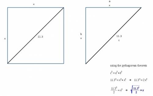 If the diagonal of a square is 11.3 meters, approximately what is the perimeter of the square?