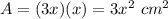 A=(3x)(x)=3x^{2}\ cm^{2}