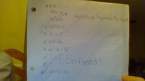Polynomials make no type sense  me simplify