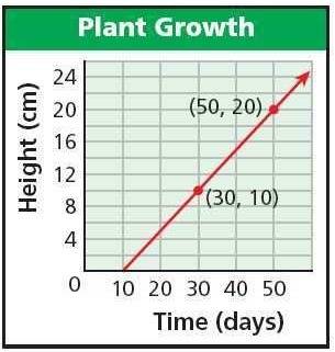 The graph shows the linear relationship between the height of a plant (in centimeters) and the time