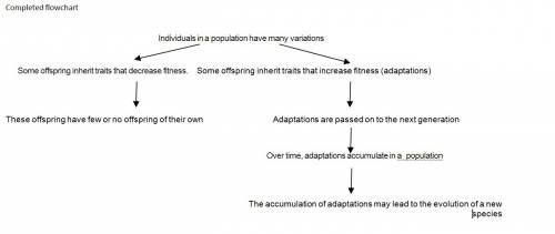 Below is a partially completed flowchart that models how natural selection drives evolution