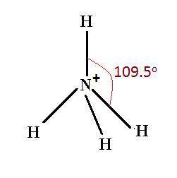 What is the angle between two of the nitrogen-hydrogen bonds in the ammonium ( nh4 ) ion?