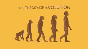 Given the amount of research and evidence available on evolution, why is it classified as a theory?