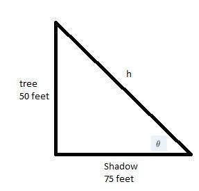 Choose the best answer. a 50-foot tree casts a shadow 75 feet long. the sine of the angle between th