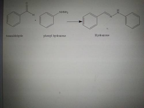 13. write an equation for the reaction of benzaldehyde with phenylhydrazine