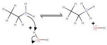 Sketch the structure of the nitrogen containing product that is formed when ethalymine reacts with w