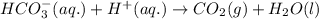 HCO_3^-(aq.)+H^+(aq.)\rightarrow CO_2(g)+H_2O(l)