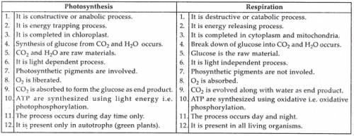 Three reasons cellular respiration and photosynthesis are opposites.