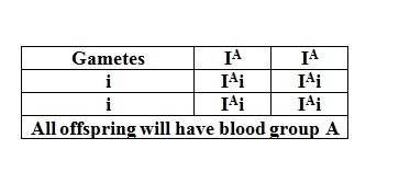 If a woman is homozygous for type a blood and her husband is type o, what is the probability that th