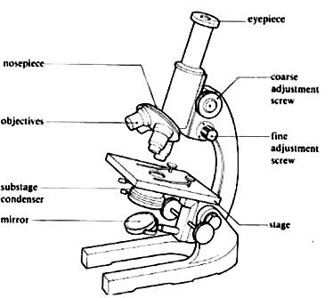What are the four attributes of a proper microscope drawing?