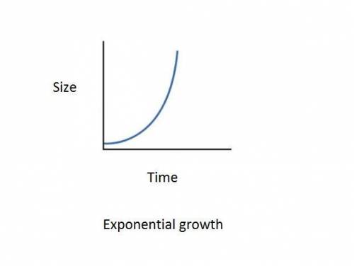 During exponential growth, the rate of growth a. declines consistently over time. b. remains steady