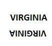 Which capital letters in virginia produce the same letter after being rotated 180°