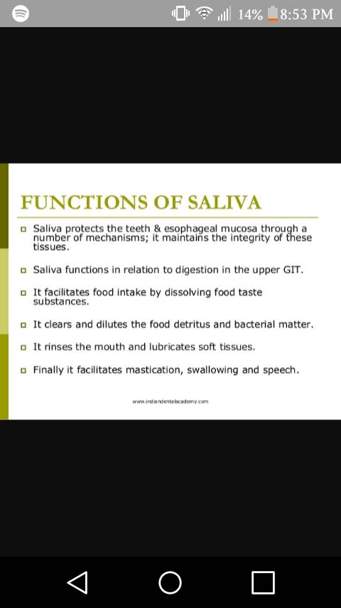 What are the five functions of saliva?