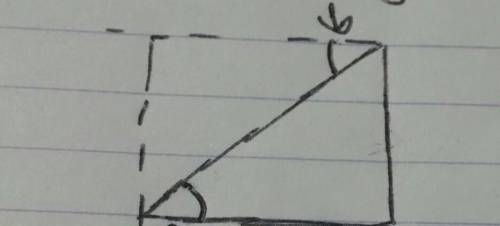 What is the relationship between an angle of elevation and an angle of depression in a right triangl