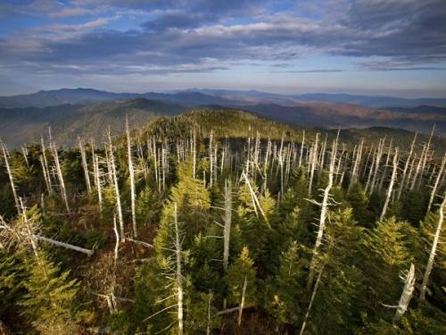 What is the economic importance of the great smokey mountains?
