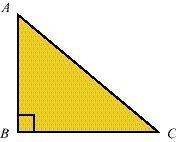 20 points asap consider the following statement: if one angle of a triangle is 90°, then the othe