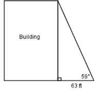 The students in the mr. collins class used a surveyor's measuring device to find the angle from thei