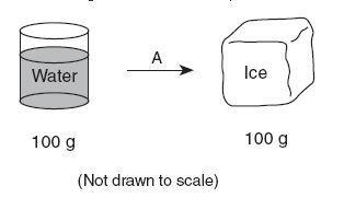 True or false: a chemical reaction occurred in the diagram shown above. a true b false