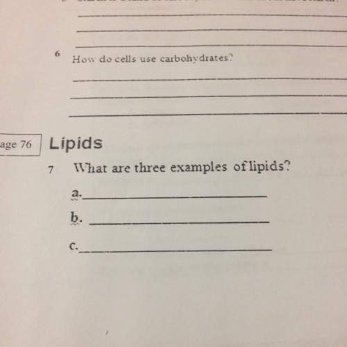 What are three examples of lipids il give all my points