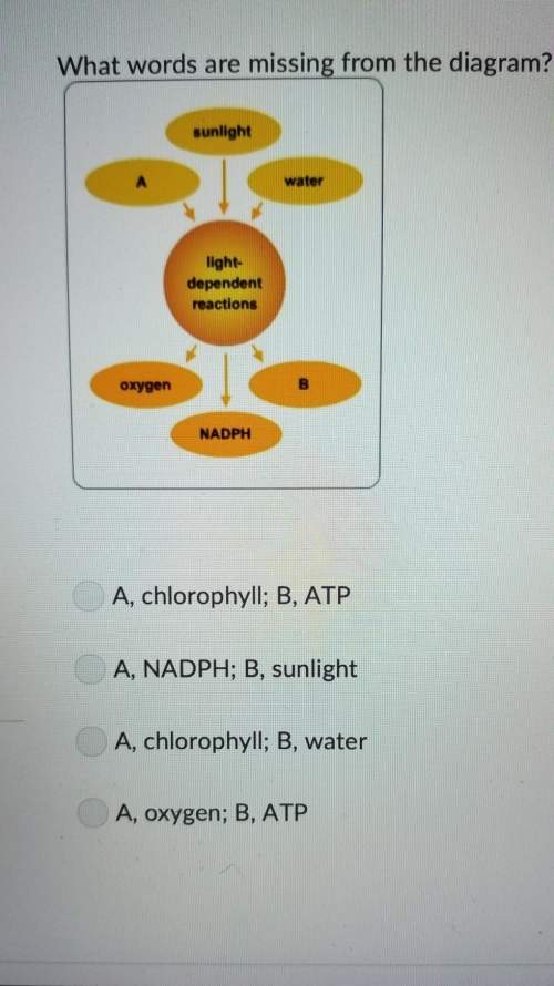 Which words are missing from the diagram 1. a) chlorophyll b) atp2. a) nadph. b) sunlight3. a) chlor