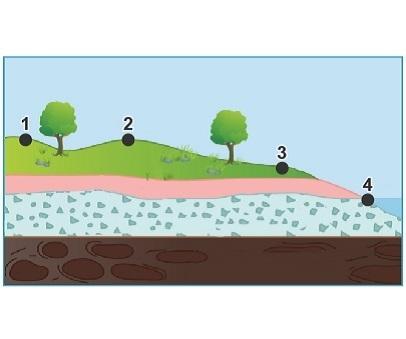 The image shows a cross-section of a landscape. which could be the location where water emerges from