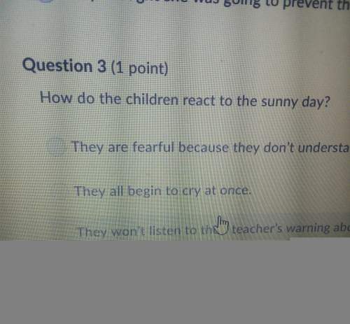 How do the children react to the sunny day