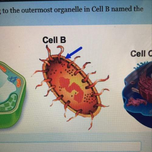 The blue arrow is pointing to the outermost organelle in cell b named the