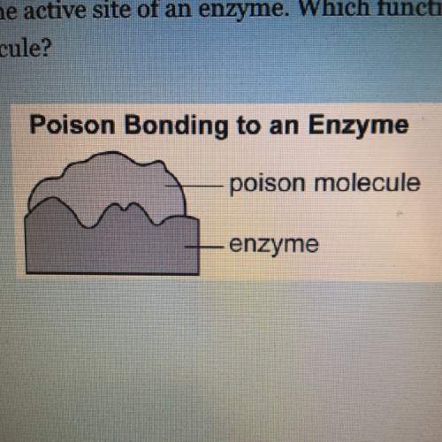 The diagram models how a poison bonds to the active site of an enzyme. which function is the enzyme