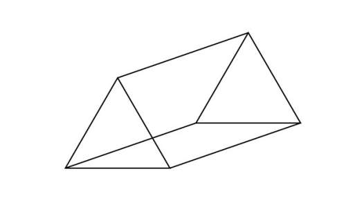 Anet for a triangular prism will consist of which shapes? list the shapes and the quantity of each.