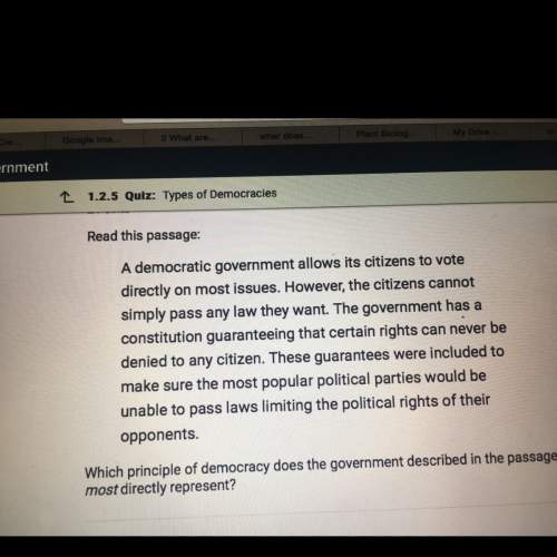 Which principle of democracy does the government described in the passage most directly represents