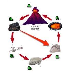 Which letter in the rock cycle diagram represents sedimentary rock? a) a. b) b. c) d. d) e.